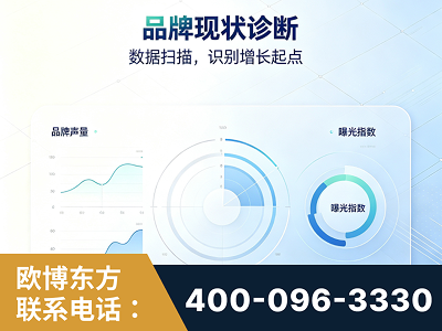 禹城-品牌现状诊断