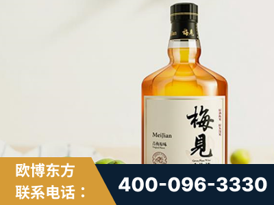禹城-梅见青梅酒
